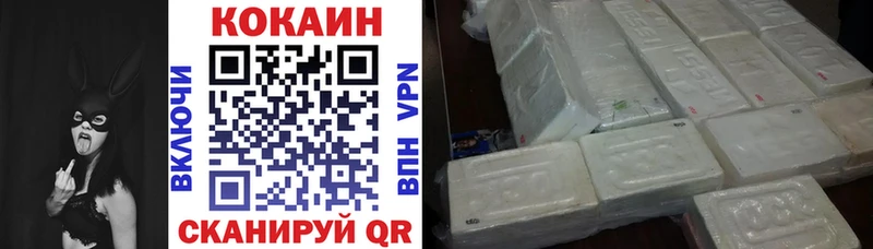 Cocaine Эквадор  купить   Буй 
