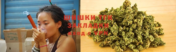 стаф Богородицк