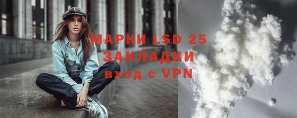 spice Богданович