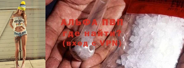 spice Богданович