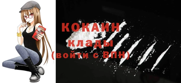 spice Богданович