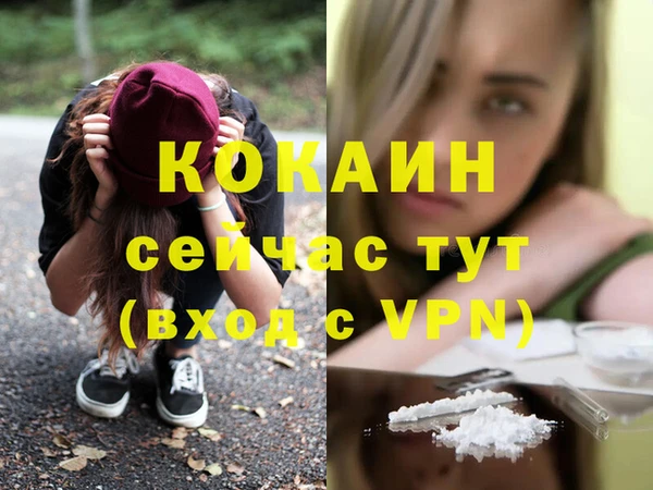 spice Богданович