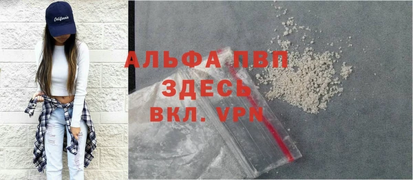 spice Богданович