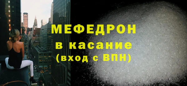 индика Бородино