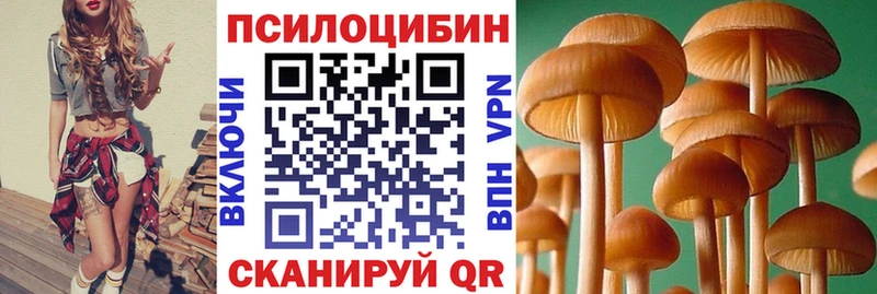 Галлюциногенные грибы Psilocybine cubensis  нарко площадка телеграм  Буй 